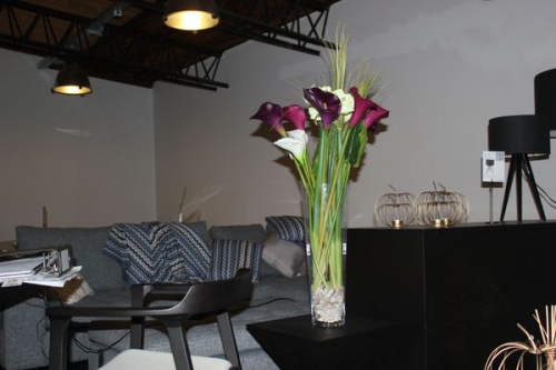 Hausbesucht bei avandeo