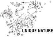 UNIQUE NATURE GmbH