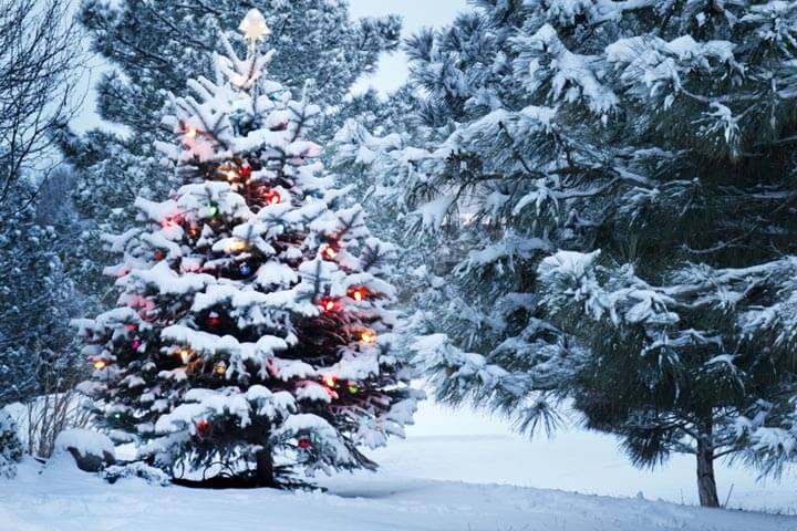 Wir wünschen eine ruhige und besinnliche Weihnachtszeit