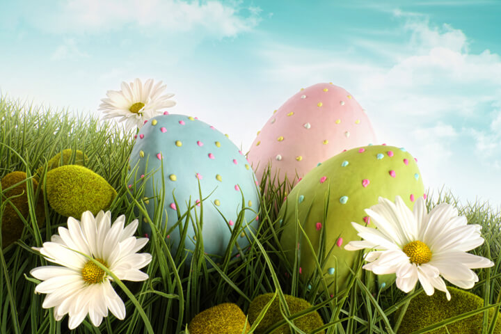 Wir wünschen allen ruhige und ganz sonnige Ostern
