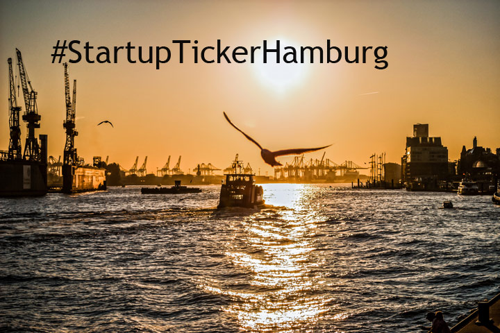 Der Hamburg Startup Monitor ist live