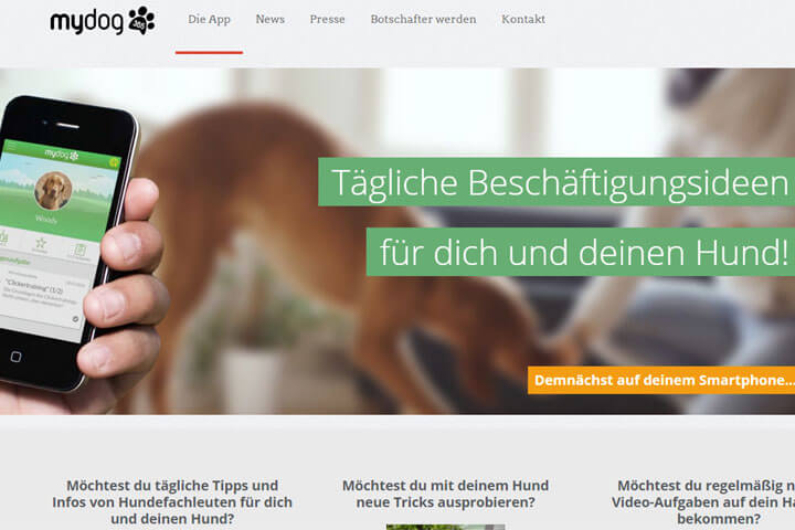 MyDog365 bietet jeden Tag neue Ideen für Hund und Mensch