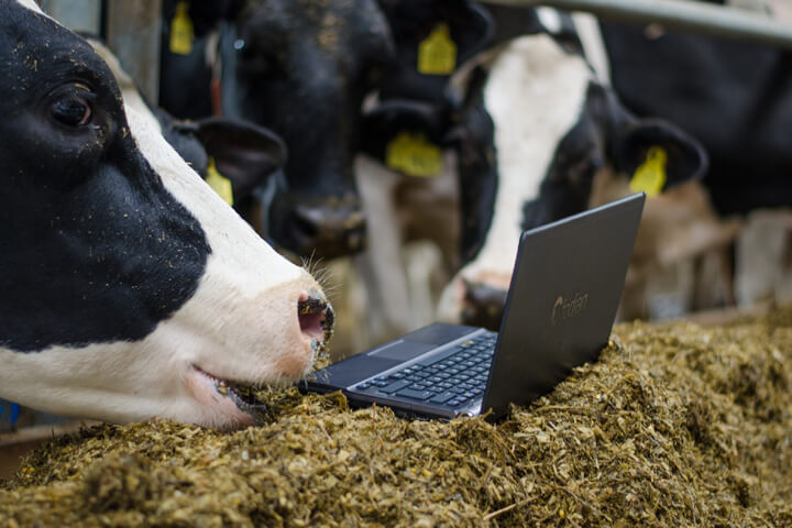 fodjan will Landwirte und Kühe so richtig glücklich machen