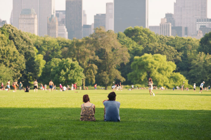 Picnic im Grünen – Der Online-Lieferdienst in der Analyse