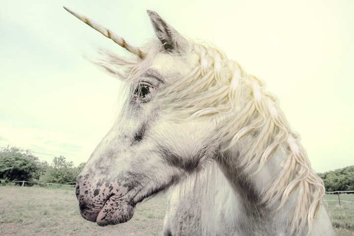 #EXKLUSIV GoEuro ist nun auch ein Unicorn