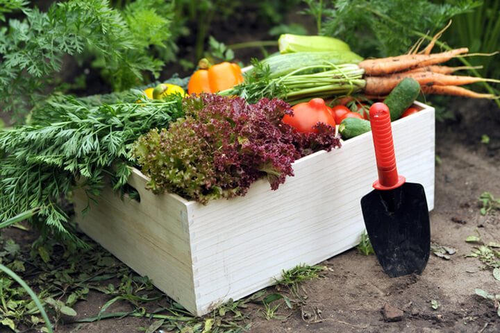 Bonativo riecht nun irgendwie wie HelloFresh