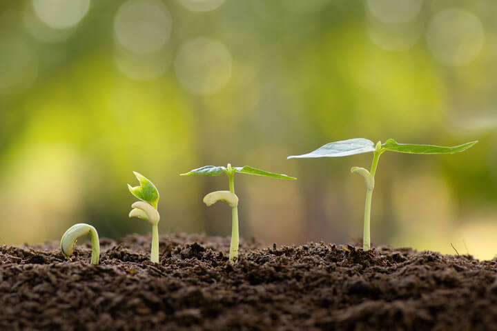 5 budgetschonende Seeding-Tipps für Startups