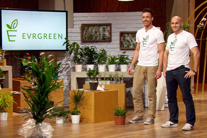Evrgreen – Pflanzen für Menschen ohne grünen Daumen