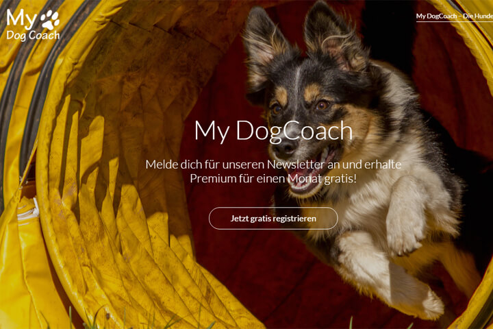 Mit My-Dog-Coach hört jeder Hund beim ersten Mal
