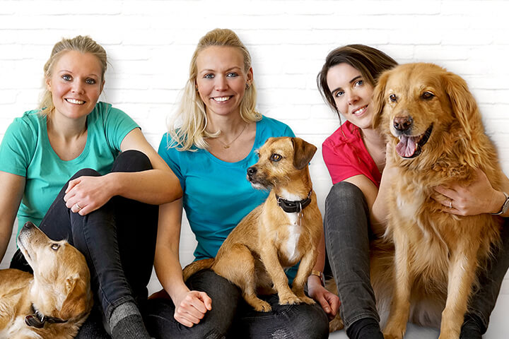 “Ich dreh Dorsch”: Leckere Snacks für Hunde!