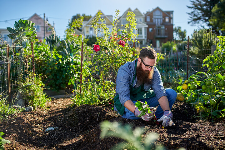 Ein Startup, das Helfer für die Gartenarbeit findet