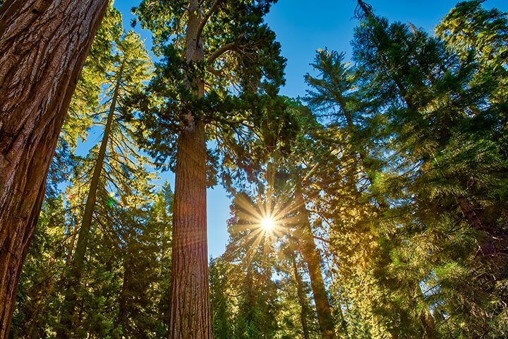Auf diese Startups steht Sequoia in Deutschland