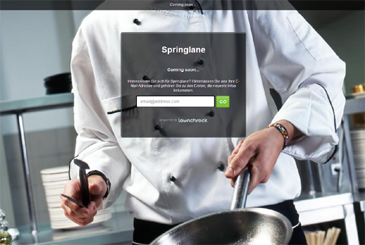 Start-up-Radar: Springlane