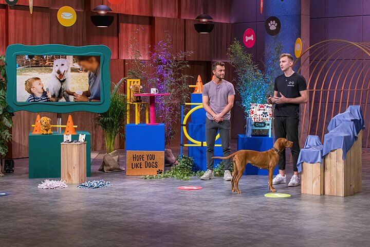 Chipolos, Jourries, turn of beauty, Inventife, Hunderunde treten vor die Löwen