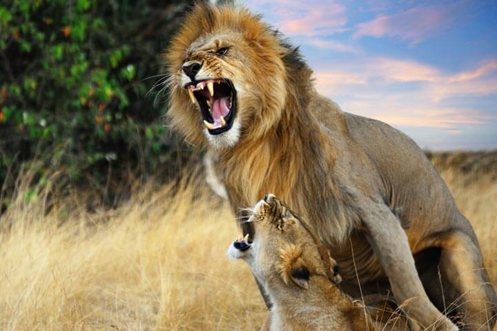 Reise-Start-up itravel sammelt „höhere sechsstellige Summe“ ein