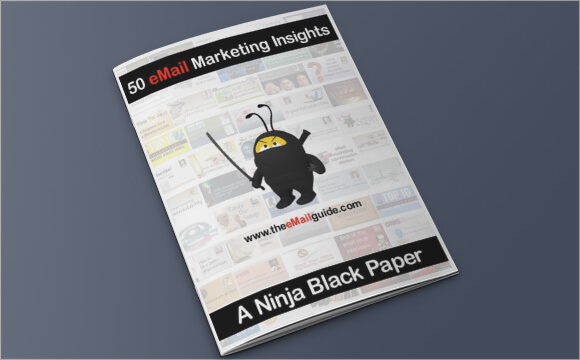 ebook8-50-email-marketing-insights