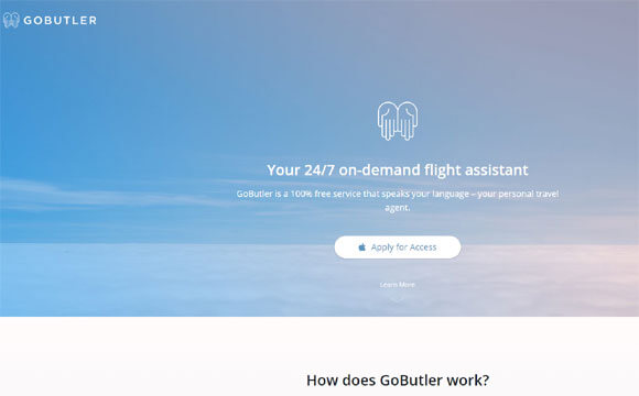 ds-gobutler-flight