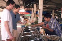 „Ameisen, Wasserwanzen, Kakerlaken und so weiter“