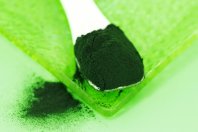 Phytolinc kümmert sich um Mikroalgen