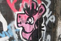 Saporo erhält 7 Millionen – MPIRIQ sammelt 3 Millionen ein – Digicust bekommt 2,3 Millionen