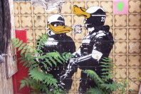 NutriUnited erhält 8,5 Millionen – capacura investiert in foom