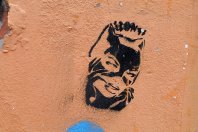 Q.ANT sammelt 62 Millionen ein – Thermondo erhält 50 Millionen – DaphOS bekommt 5 Millionen