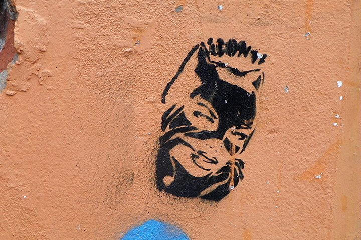 Q.ANT sammelt 62 Millionen ein – Thermondo erhält 50 Millionen – DaphOS bekommt 5 Millionen