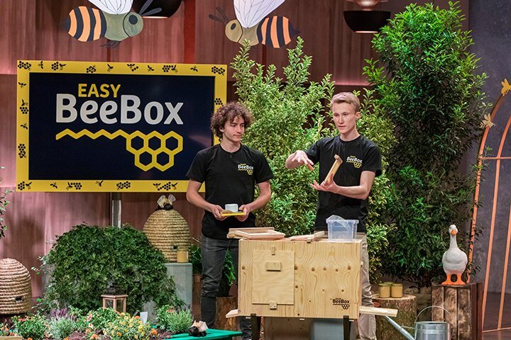 easyBeeBox, Pocketsy, Flüwa, Kulero, munevo treten vor die Löwen