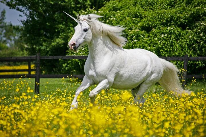 +++ Restate +++ Razor Group +++ Genova.ai +++ PremiumXL +++ Dupes +++