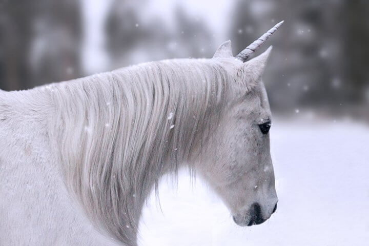 +++ Scenarium AI +++ HR Angels Club +++ Franziska von Hardenberg +++ KI +++ Trade-Republic