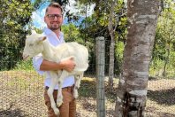 „Nach dem Aufstehen hole ich frisches Futter für unsere Ziegen und Hasen“