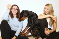 Hey Holy – und jede Hunderasse bekommt ihr eigenes Futter